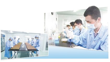 分子診斷站上“風口”，技術服務迎來新機遇